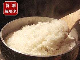 特別栽培米　ササニシキ
